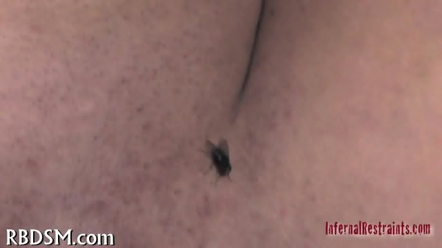 Demeaning a lusty pussy