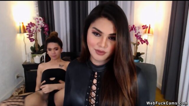 Hot shemale lesbians on webcam