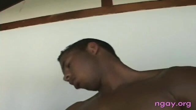 Horny gay lovers fuck like rabbits