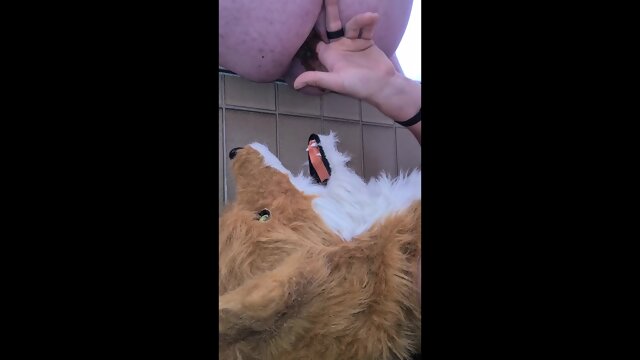 Fursuiter Gets Shit All Over Them P.2