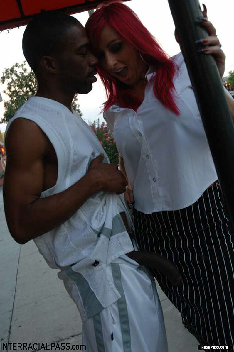 amateur photo raven_027