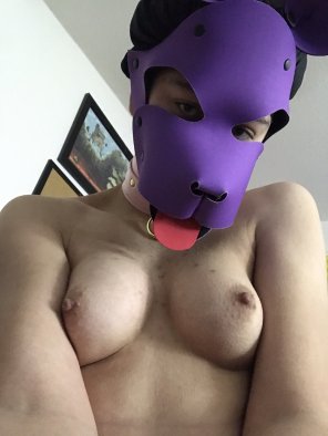 amateur pic A pretty puppy with some pretty titties.