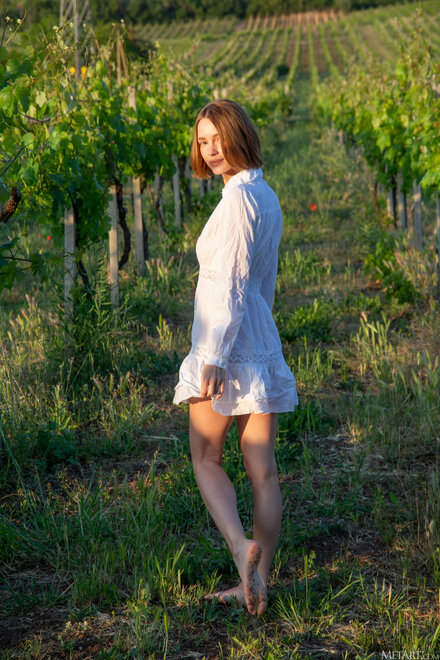 MetArt_Vineyard-View_Amy-Moloko_high_0003