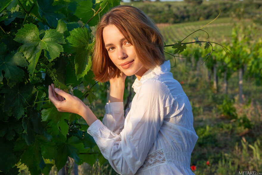 MetArt_Vineyard-View_Amy-Moloko_high_0007