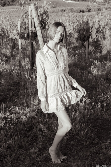 MetArt_Vineyard-View_Amy-Moloko_high_0120