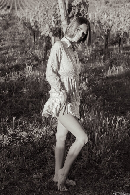 MetArt_Vineyard-View_Amy-Moloko_high_0121