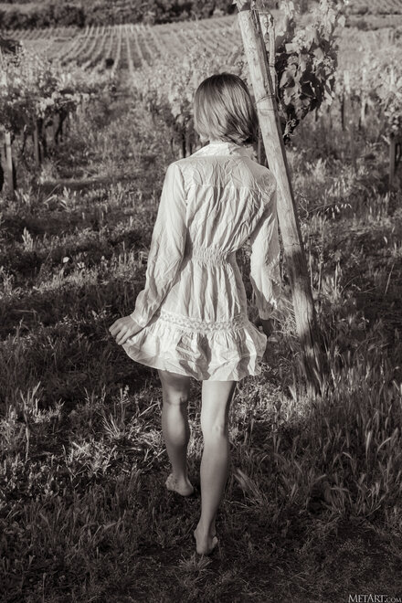 MetArt_Vineyard-View_Amy-Moloko_high_0123