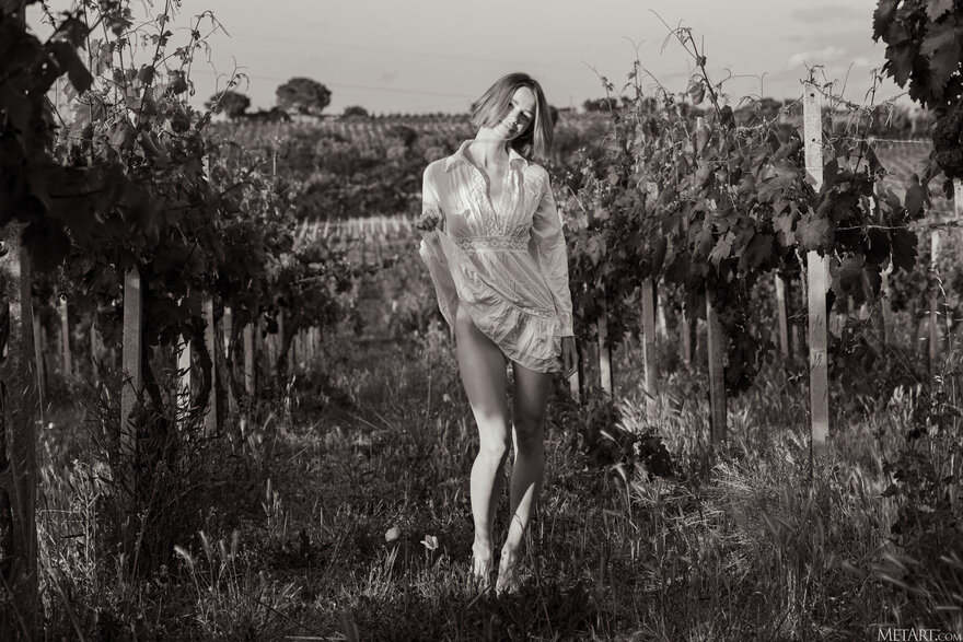 MetArt_Vineyard-View_Amy-Moloko_high_0124