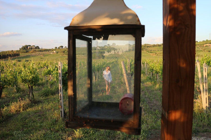 MetArt_Vineyard-View_Amy-Moloko_high_0142