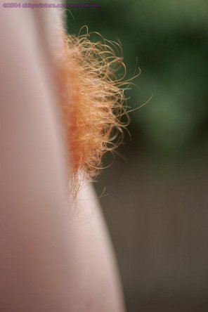 foto amateur Hair Close-up Skin Facial hair 