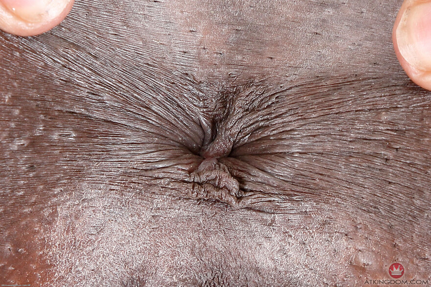 167249271_ana027gbp_348352166