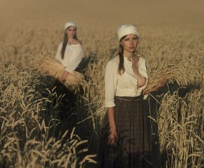 zdjęcie amatorskie Harvesting..