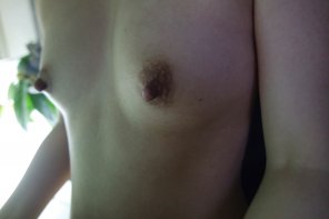 photo amateur You into big japanese nipples?