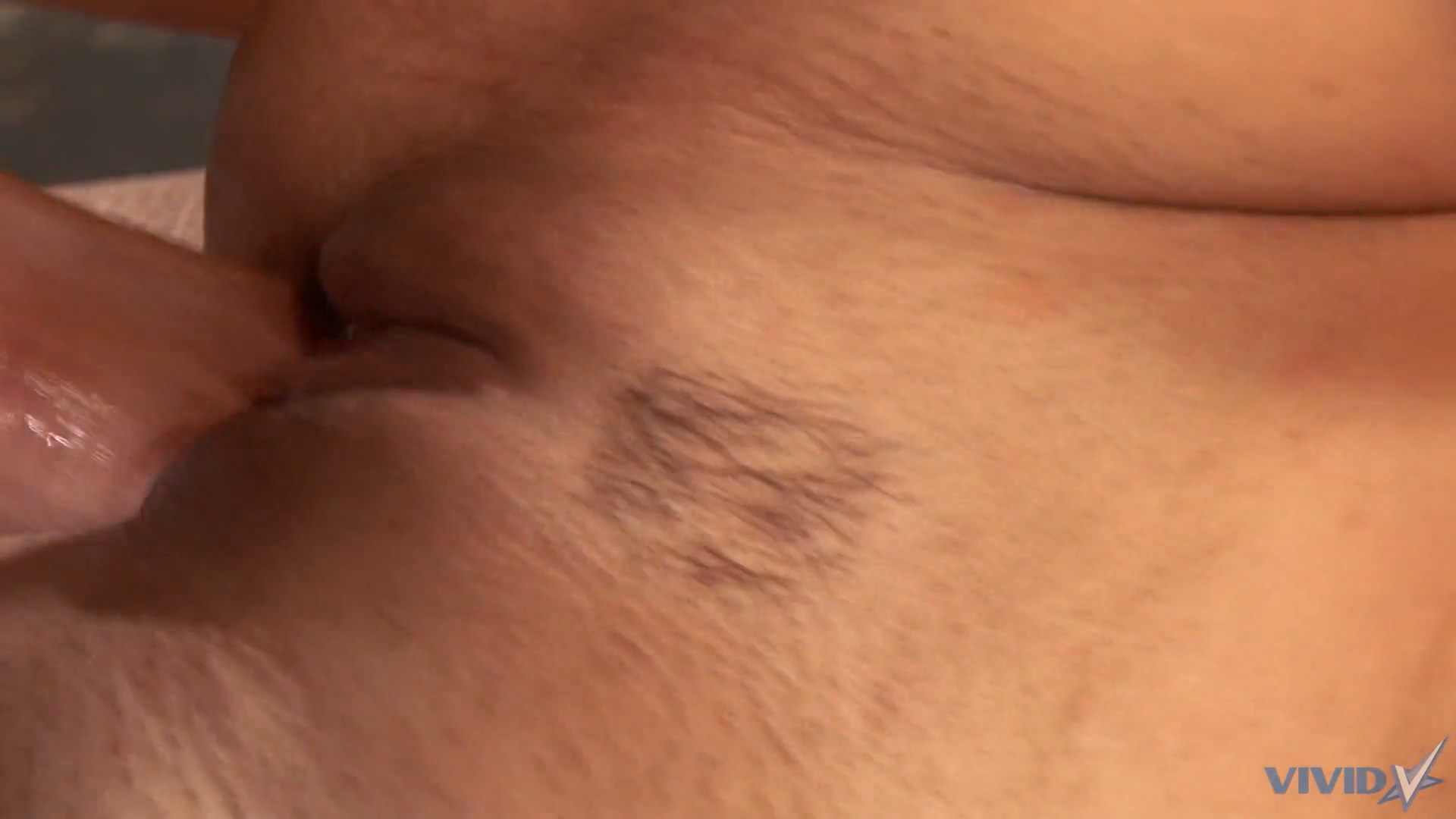 amateur photo vf_FREE Vivid - Sunny Leone - Sunnys BG Adventure S03 PervTube_1506275