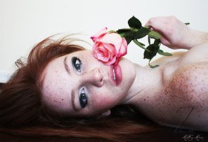 zdjęcie amatorskie Pretty as a rose