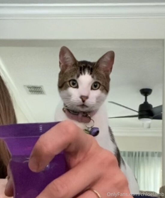 1121x1344_d2f7ed7337606f613f3259a0ef9c1085