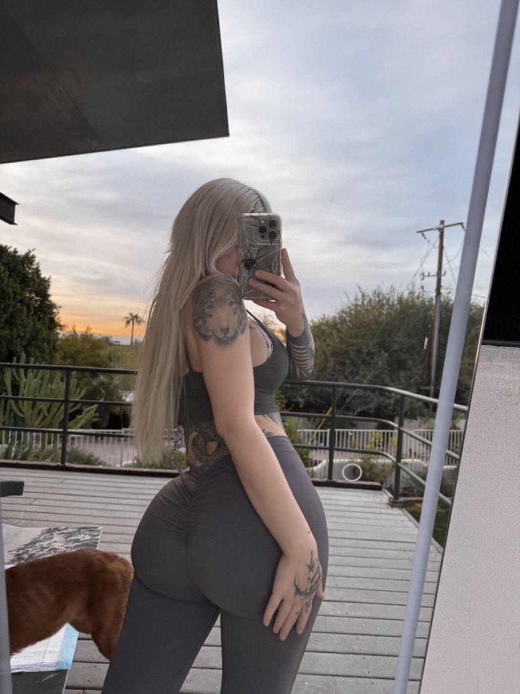 amateur photo IMG_6969fd819504b1cc40a1