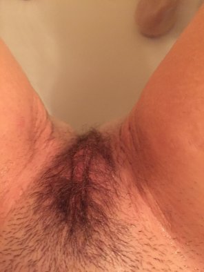 foto amateur Wifes hairy pussy