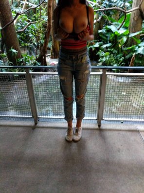 Boobs out at the zoo