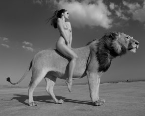 zdjęcie amatorskie Riding the Lion