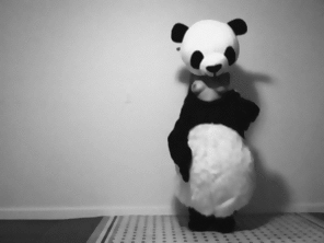 zdjęcie amatorskie Who wants a panda?