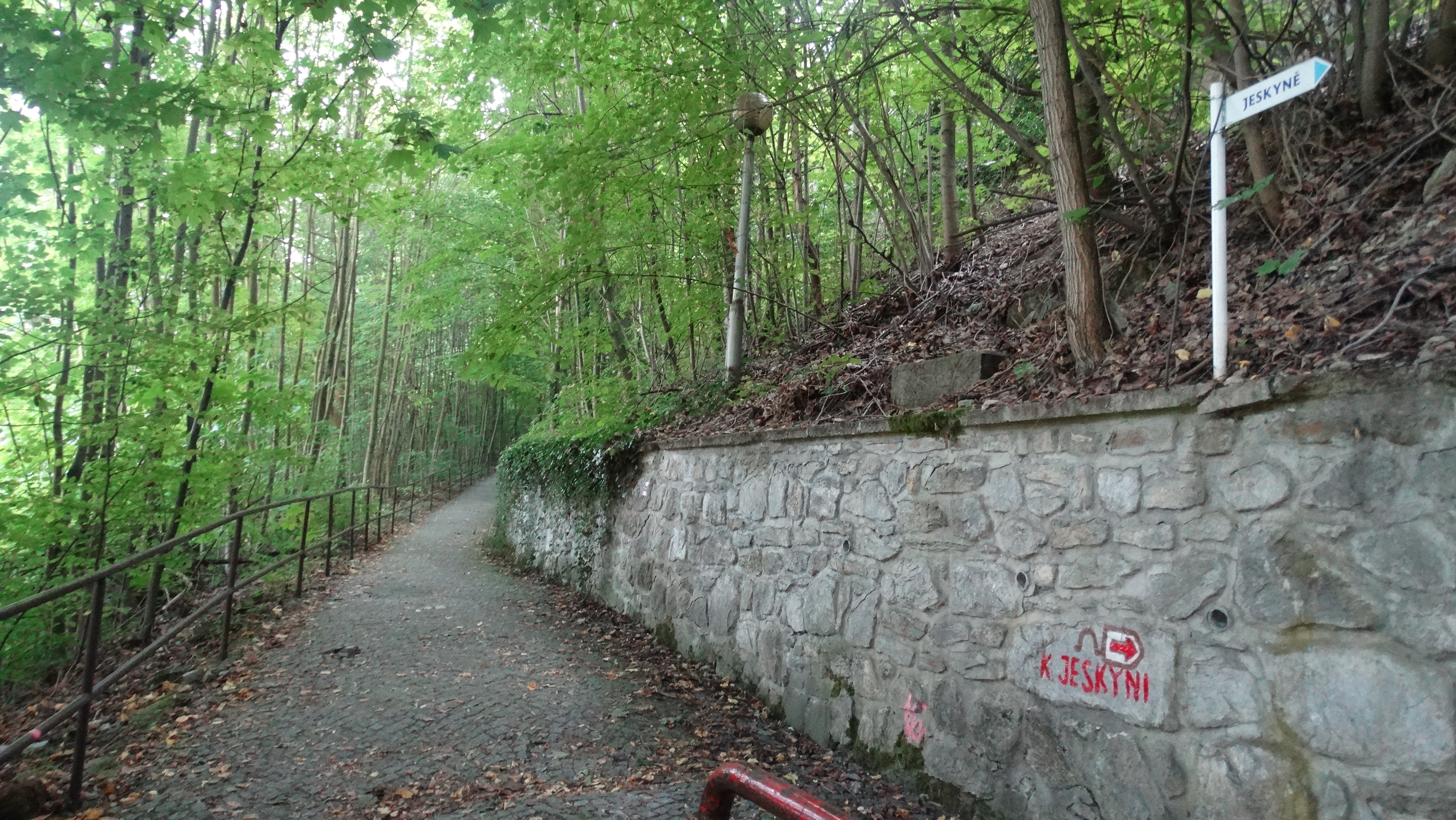 amateur photo DSC01985