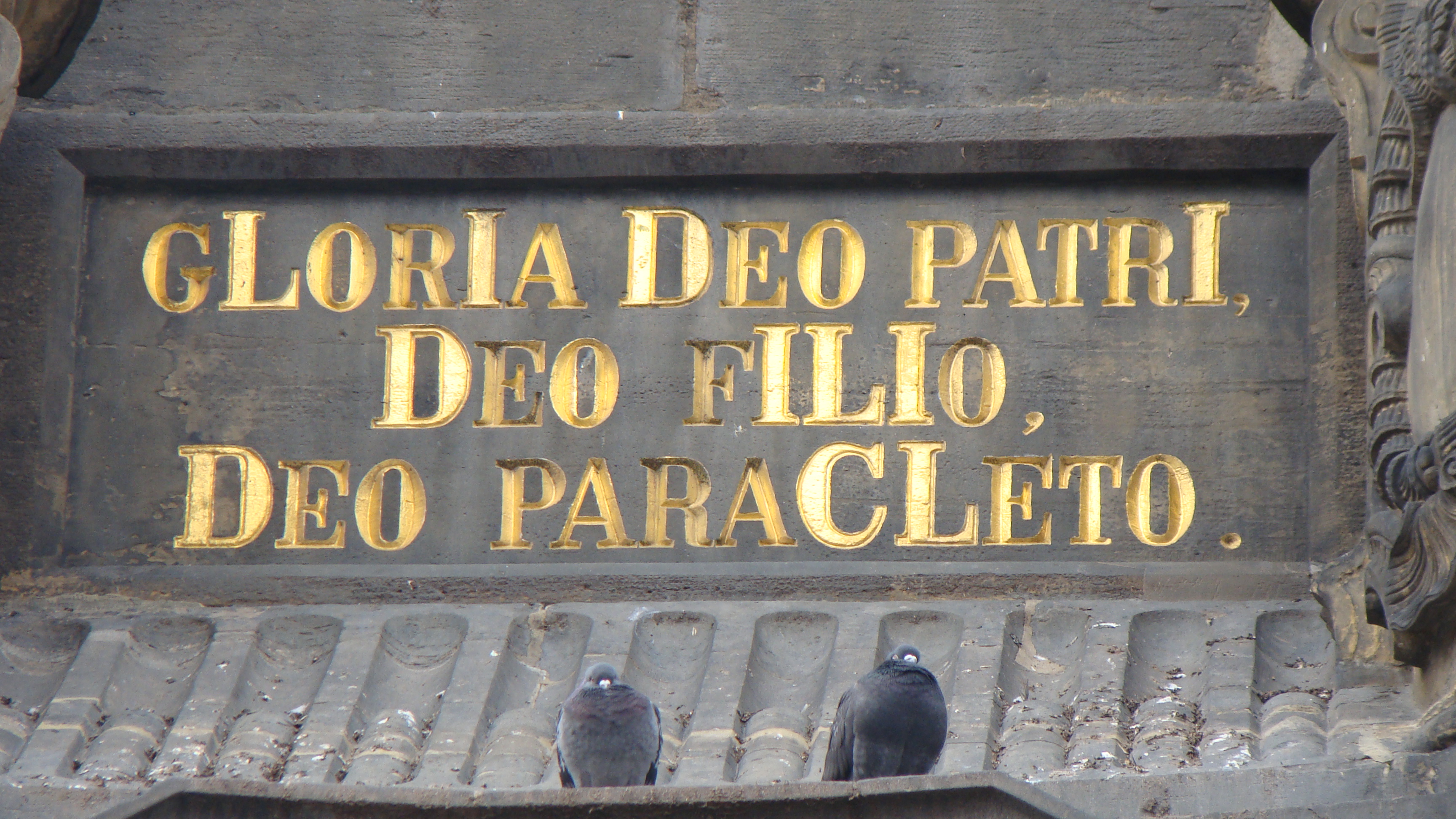 amateur photo DSC04594