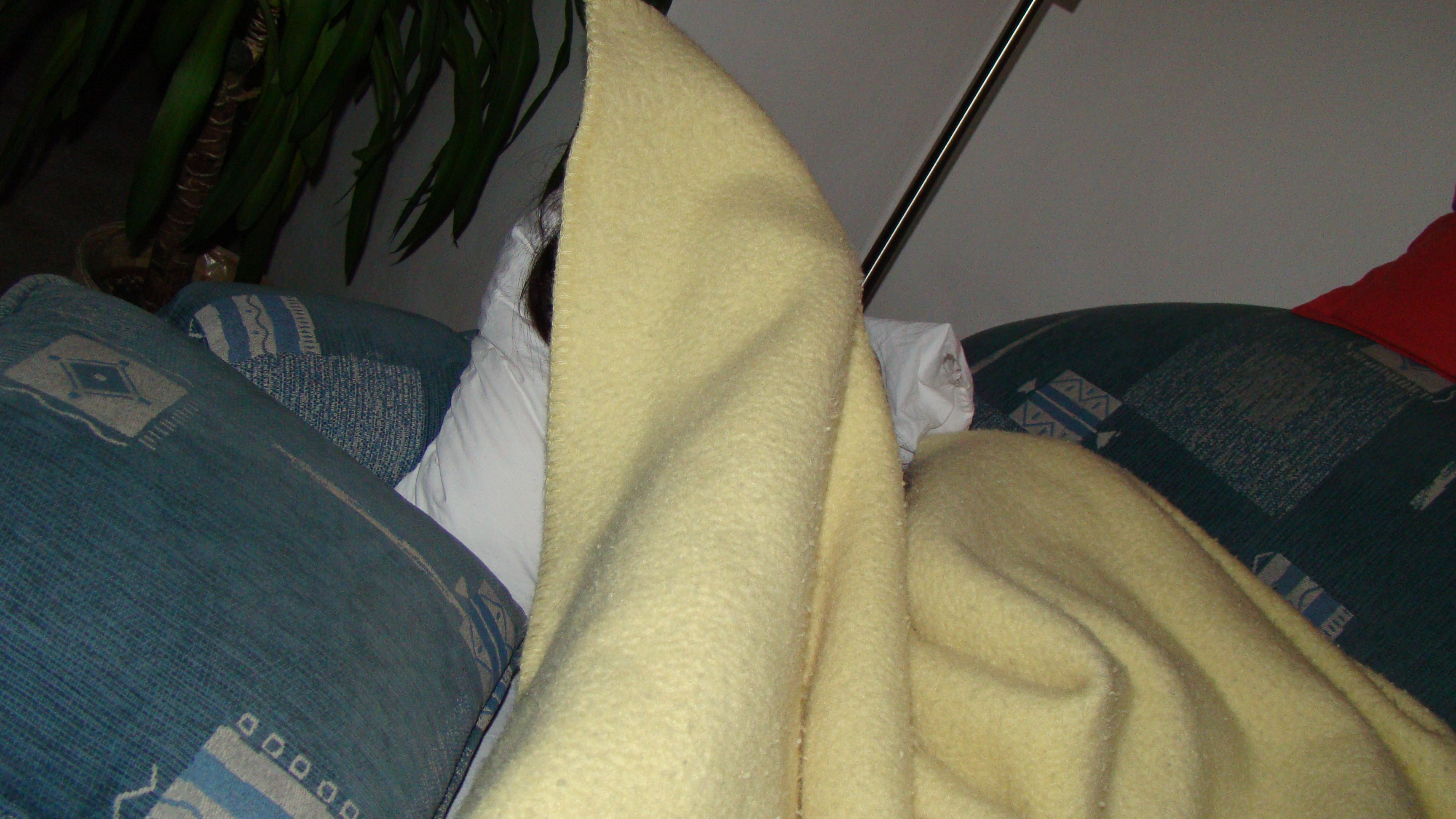 amateur photo DSC05101