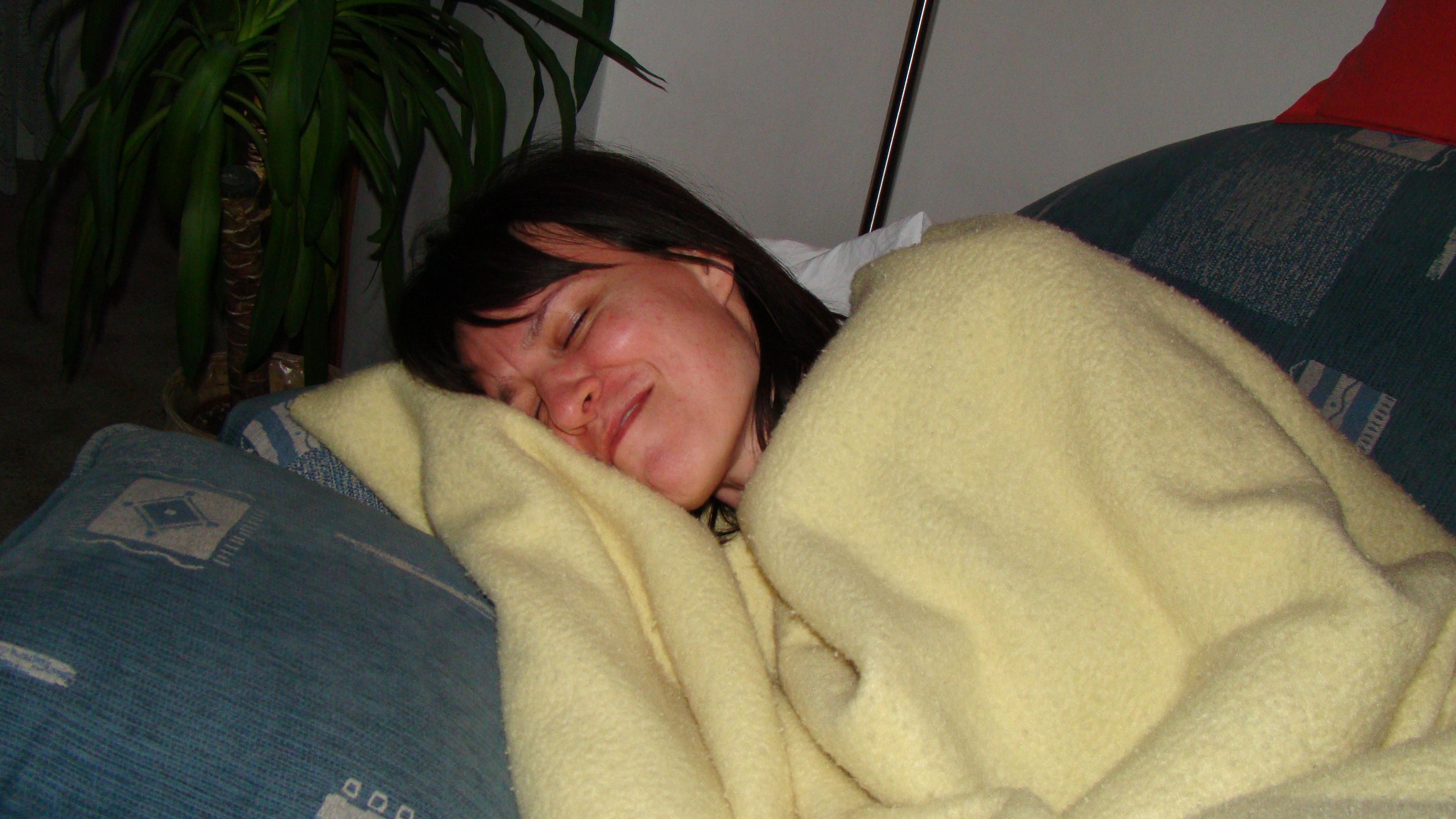 amateur photo DSC05102