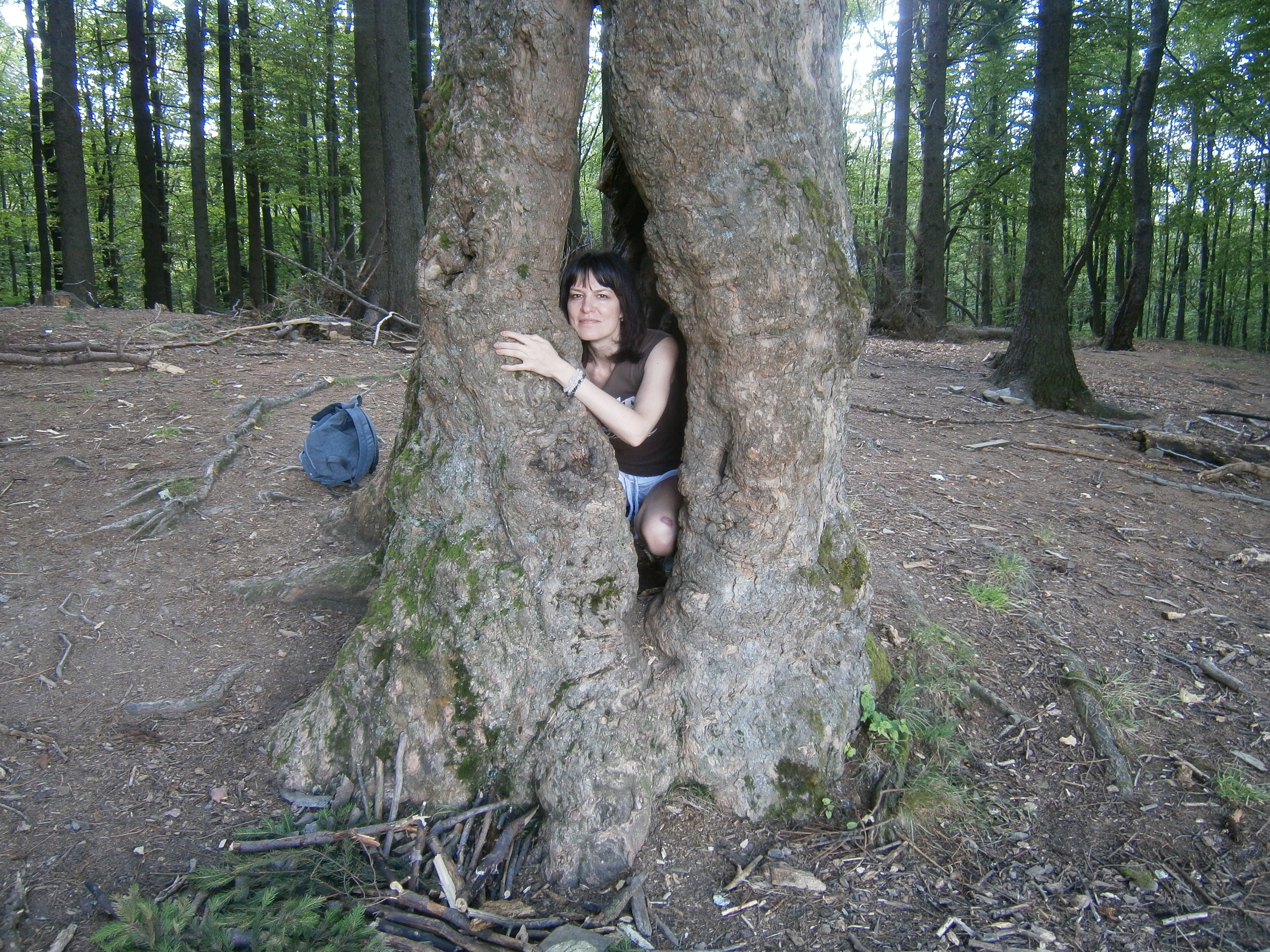 amateur photo P7160892