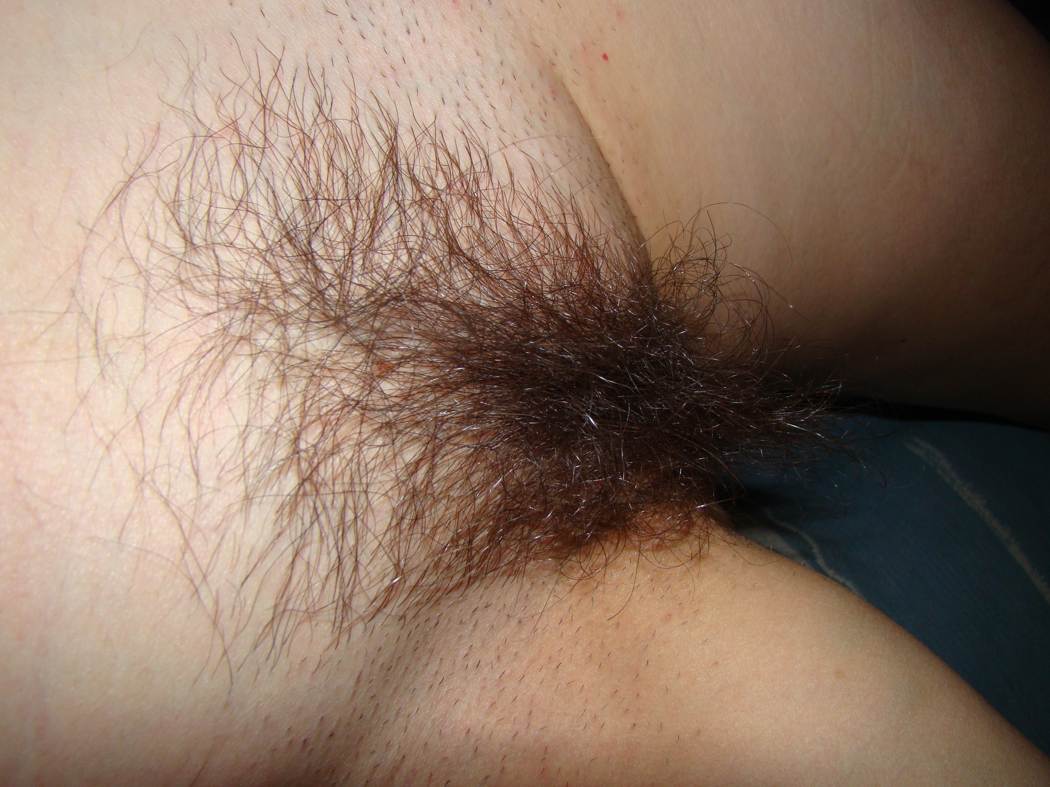 amateur photo DSC06001