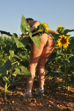 foto amadora Sexy 42 year old MIL[F] in sunflowers