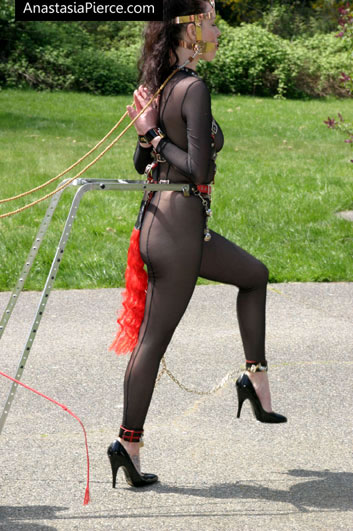 amateur photo PonyGirl049