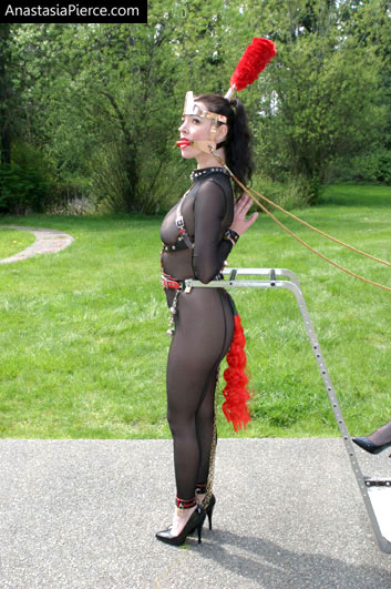 amateur photo PonyGirl055