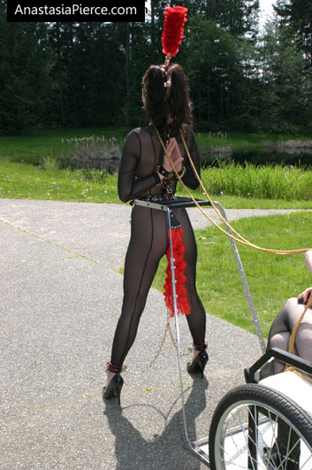 amateur photo PonyGirl058