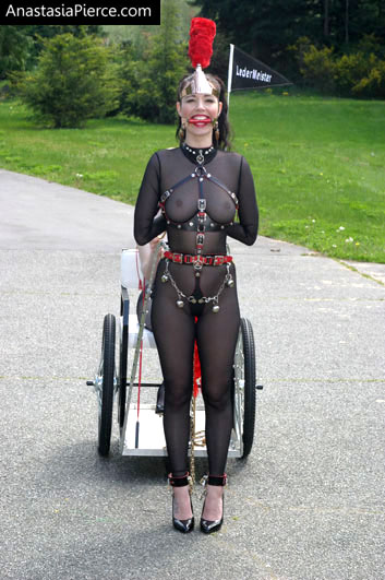 amateur photo PonyGirl069