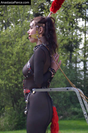 amateur photo PonyGirl157