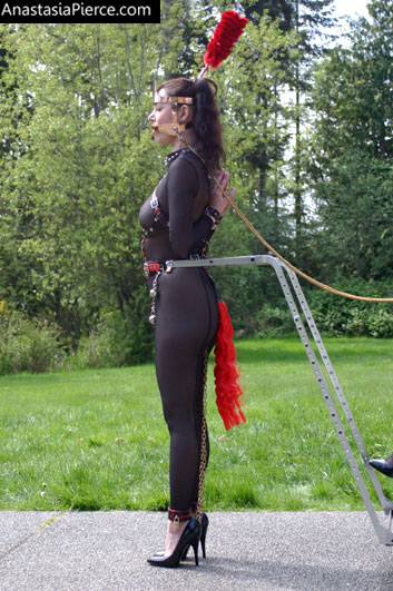 amateur photo PonyGirl158