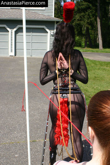 amateur photo PonyGirl201