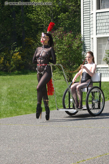 amateur photo PonyGirl208