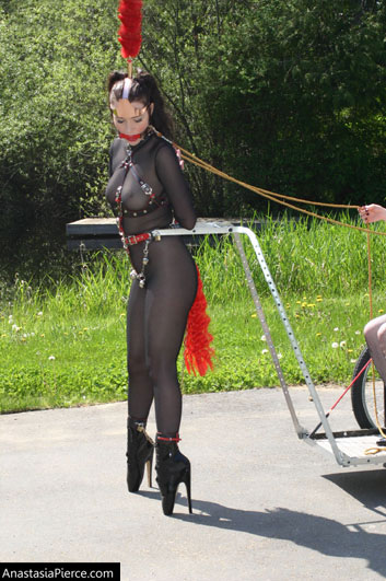 amateur photo PonyGirl214