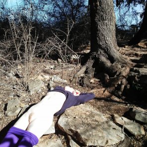 zdjęcie amatorskie Tree Wilderness Footwear Leg 