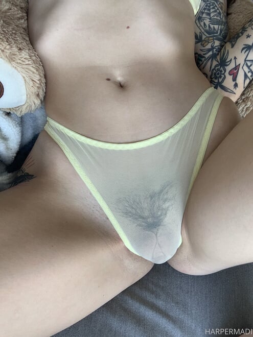 a9acf201-7183-4036-80bd-cbe62ef27c2f