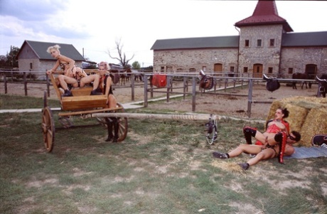 amateur photo 15891503_028_86b0