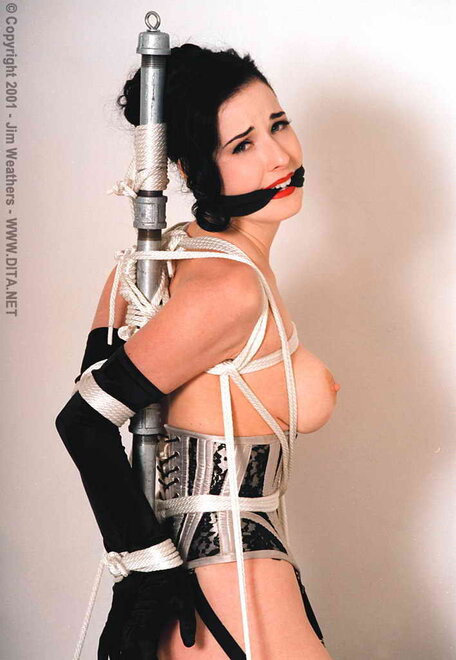 Dita von Teese 5 (16)