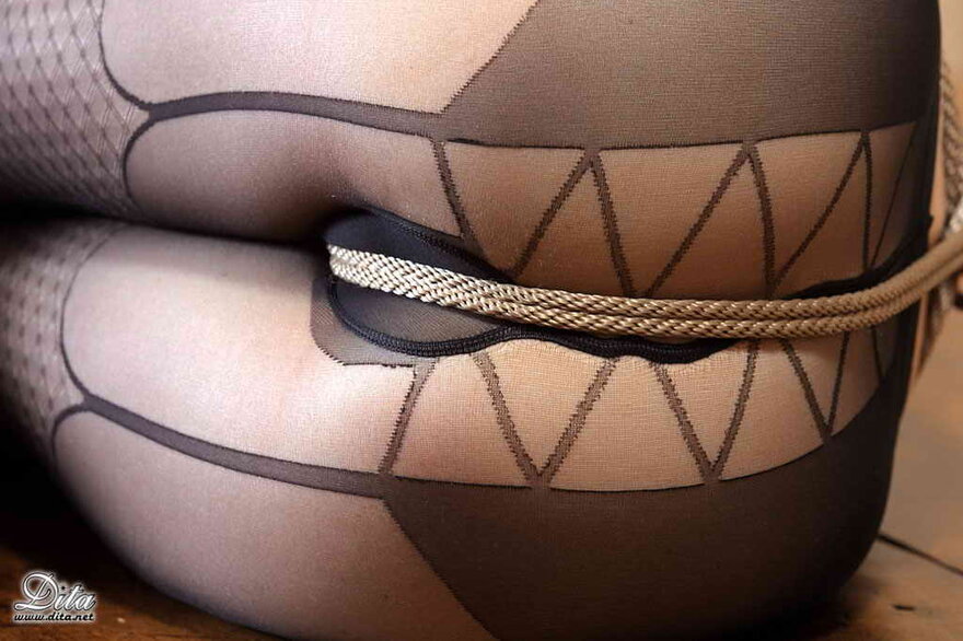 Dita von Teese 8 (11)