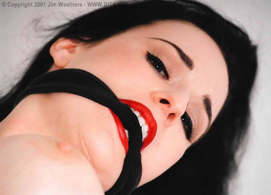 Dita von Teese 9 (25)