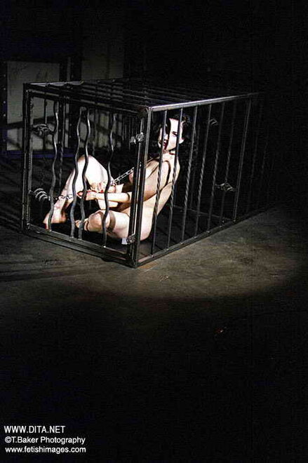 Dita von Teese 1 (5)