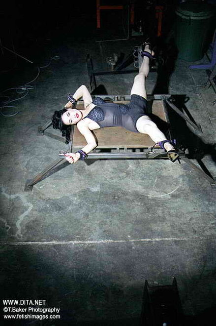 Dita von Teese 2 (12)
