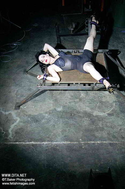 Dita von Teese 2 (13)